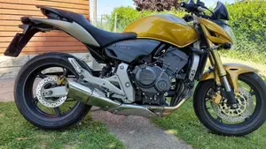 Honda Hornet 600 (2007 - 10)  (8)