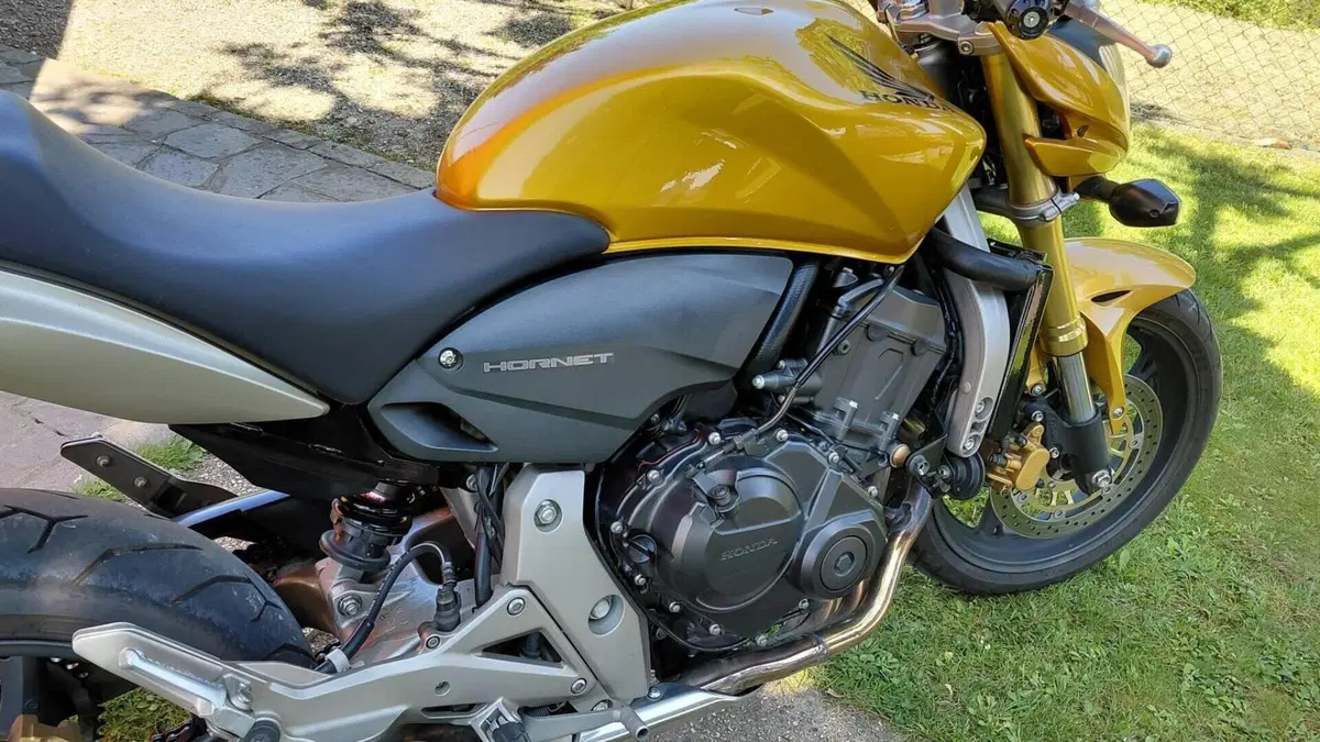 Honda Hornet 600 (2007 - 10)  (9)