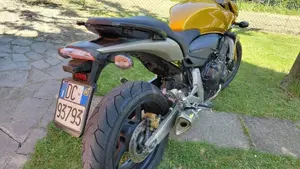 Honda Hornet 600 (2007 - 10)  (10)