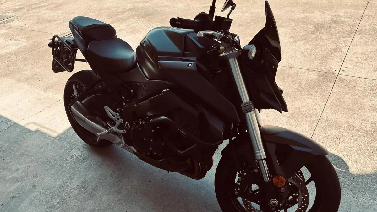 Suzuki GSX-S950 (2021 - 23)  (2)