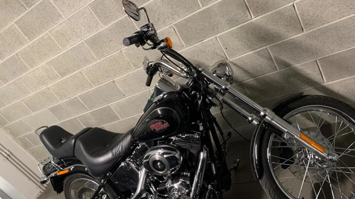 Harley-Davidson 1584 Custom (2008 - 09) - FXSTC 
