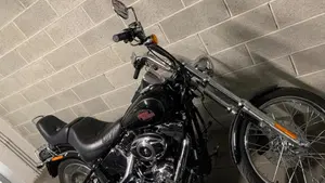 Harley-Davidson 1584 Custom (2008 - 09) - FXSTC 