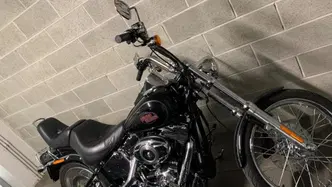 Harley-Davidson 1584 Custom (2008 - 09) - FXSTC