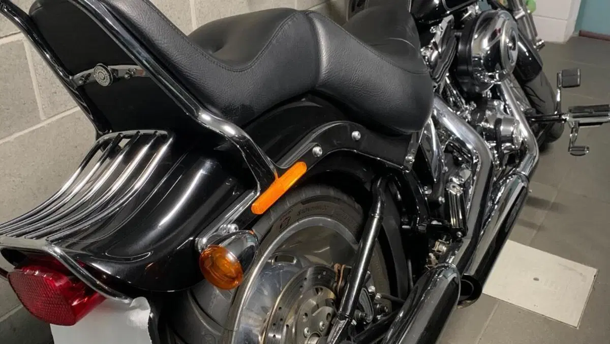 Harley-Davidson 1584 Custom (2008 - 09) - FXSTC  (3)