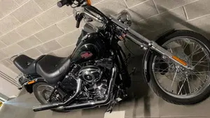 Harley-Davidson 1584 Custom (2008 - 09) - FXSTC  (7)