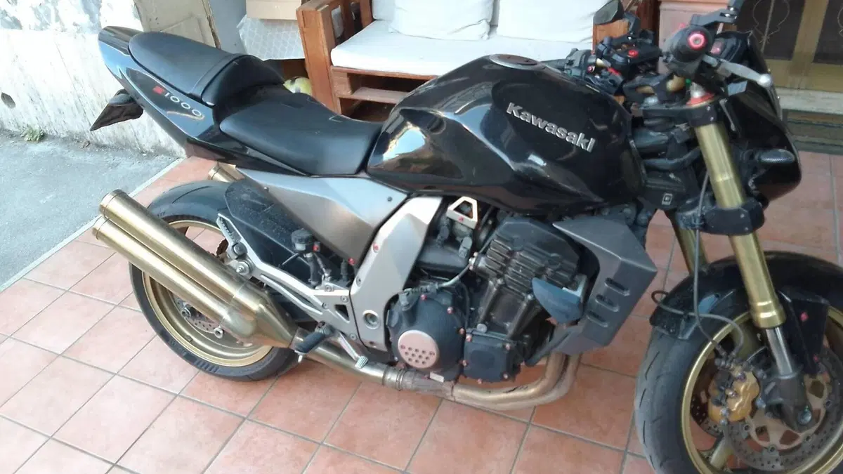 Kawasaki Z 1000 (2003 - 06)  (5)