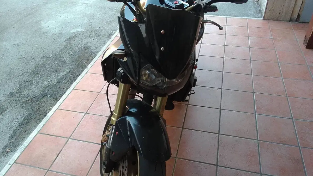 Kawasaki Z 1000 (2003 - 06)  (6)