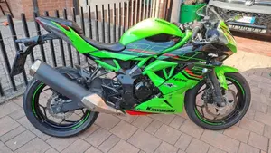 Kawasaki Ninja 125 (2021 - 24)  (3)