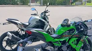 Kawasaki Ninja 125 (2021 - 24)  (4)