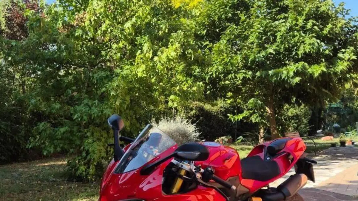 Ducati Panigale V2 S (2025 - 26)  (2)