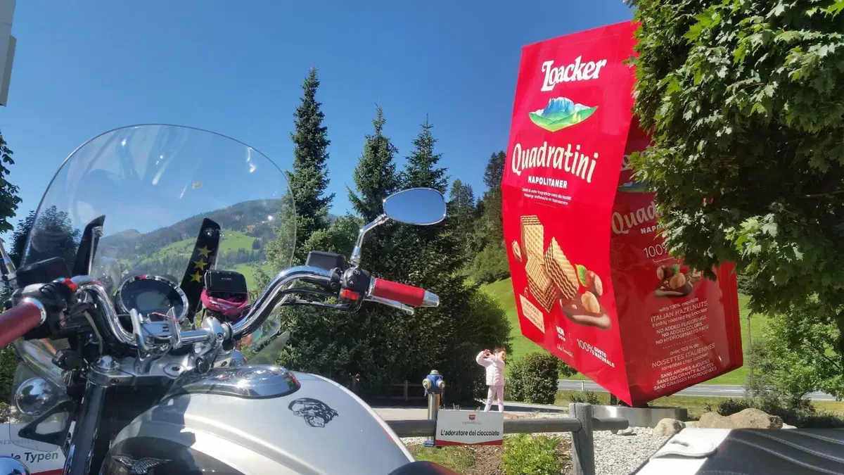 Moto Guzzi California 1400 Touring SE (2015 - 16)  (4)