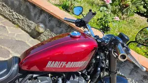 Harley-Davidson XL 1200 CX Roadster (2016 - 18)  (4)
