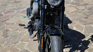Harley-Davidson XL 1200 CX Roadster (2016 - 18)  (5)