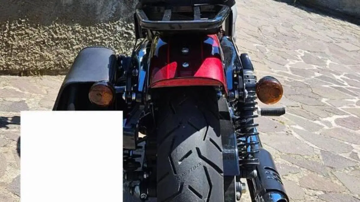 Harley-Davidson XL 1200 CX Roadster (2016 - 18)  (6)