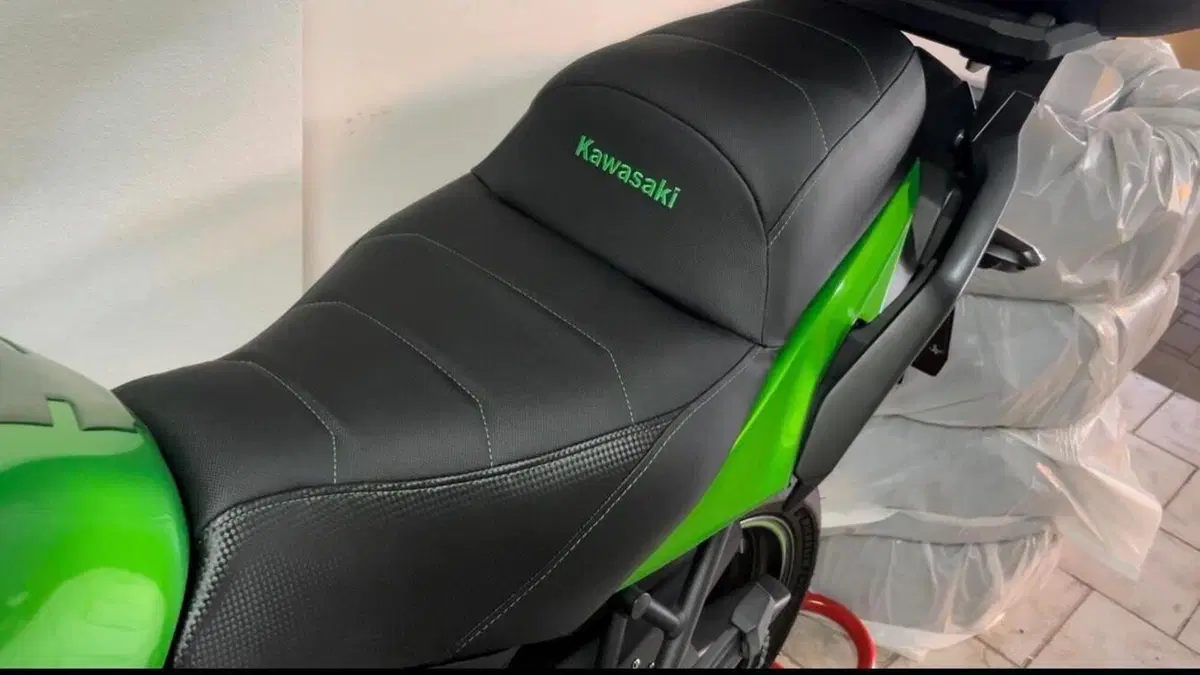 Kawasaki Versys 650 (2017 - 20)  (2)