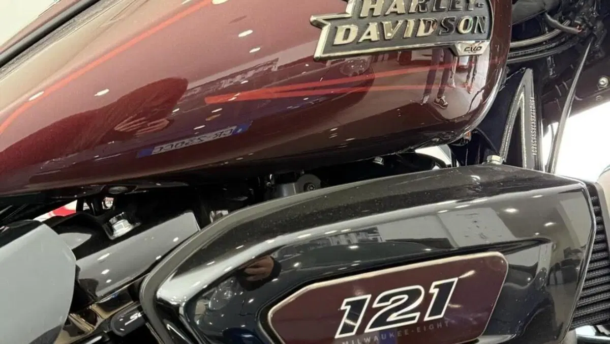 Harley-Davidson CVO Street Glide (2024)  (5)
