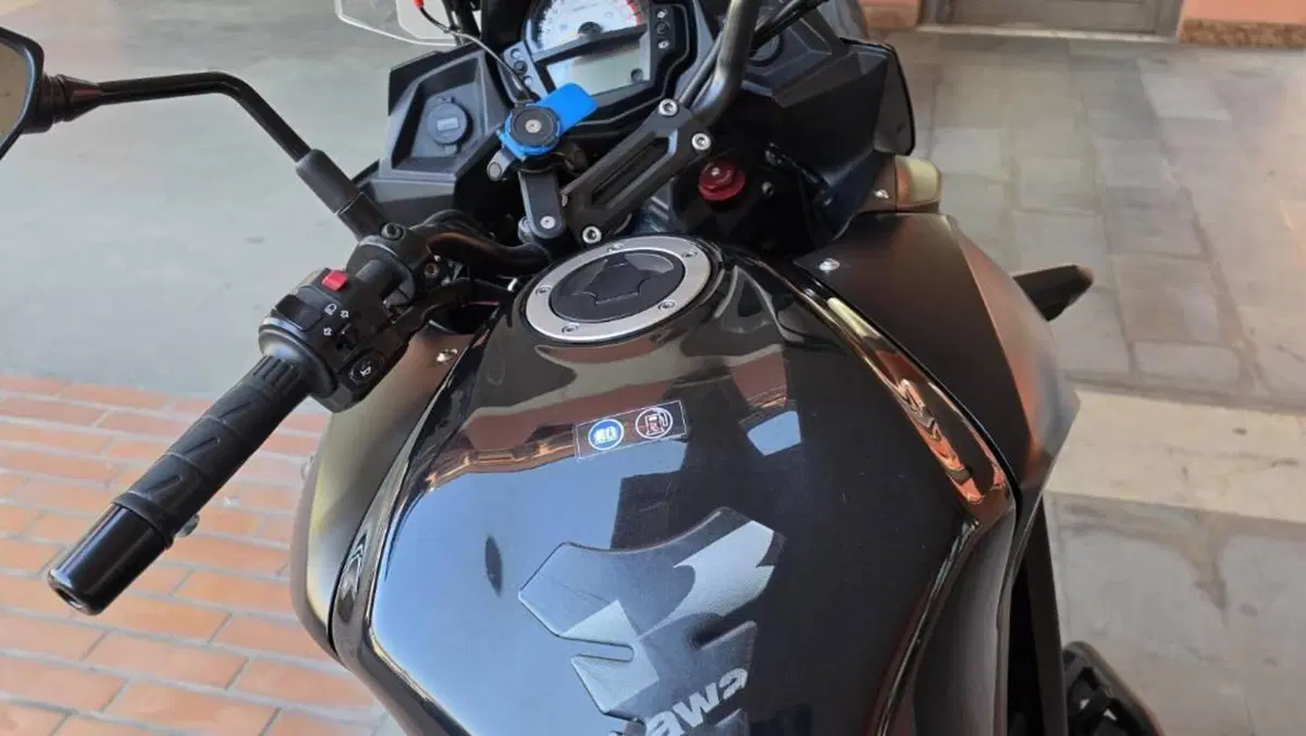 Kawasaki Versys 650 ABS (2015 - 16)  (15)