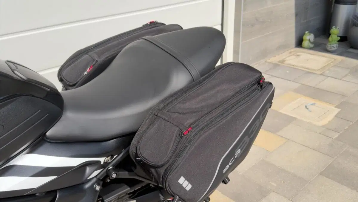 Triumph Trident 660 (2025)  (5)