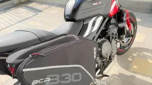 Triumph Trident 660 (2025)  (7)