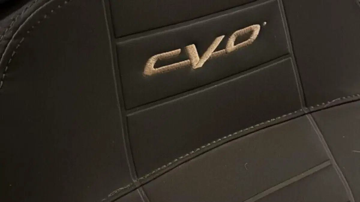Harley-Davidson CVO Street Glide (2024)  (10)