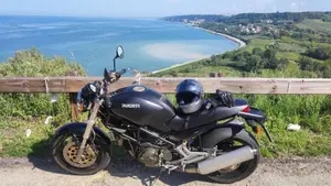 Ducati   (8)