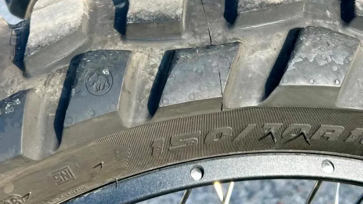 Bmw R 12 G/S (2026 - 27)  (10)