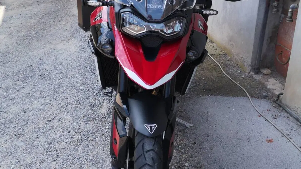 Triumph Tiger 900 GT Pro (2024 - 26)  (4)