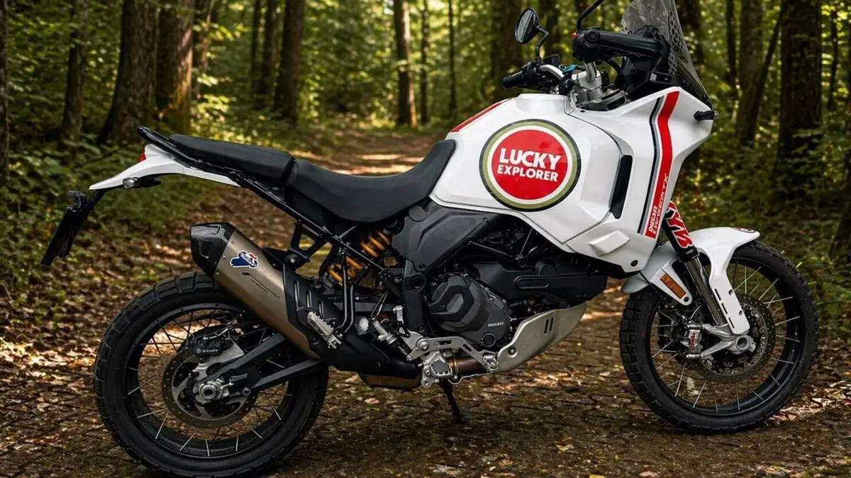 Ducati DesertX (2022 - 25) 