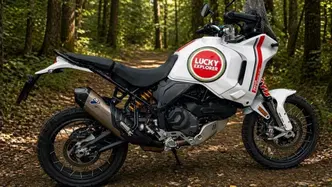 Ducati DesertX (2022 - 25) usata