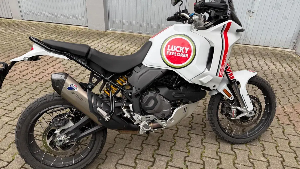 Ducati DesertX (2022 - 25)  (3)
