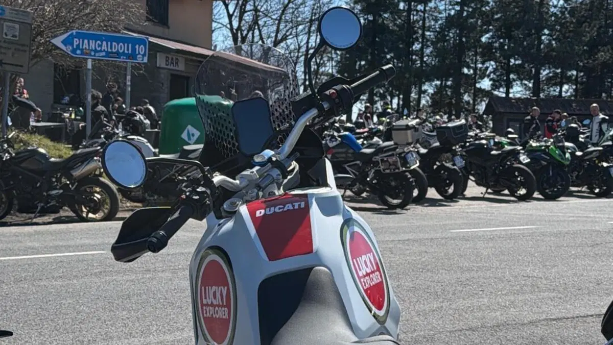 Ducati DesertX (2022 - 25)  (7)