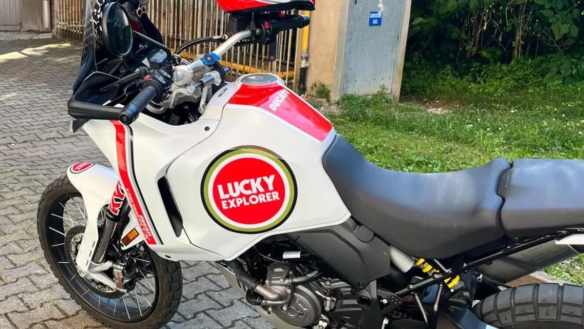 Ducati DesertX (2022 - 25)  (8)
