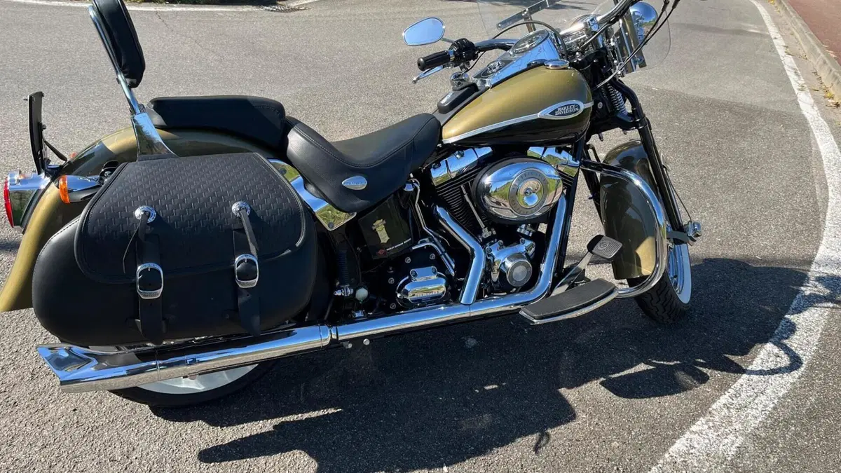 Harley-Davidson 1584 Springer Classic (2006 - 07) - FLSTSC  (3)