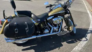 Harley-Davidson 1584 Springer Classic (2006 - 07) - FLSTSC  (3)