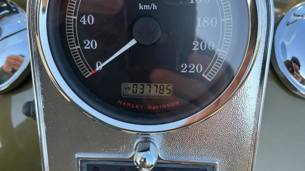 Harley-Davidson 1584 Springer Classic (2006 - 07) - FLSTSC  (7)