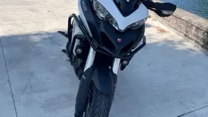 Ducati Multistrada 950 (2018)  (4)