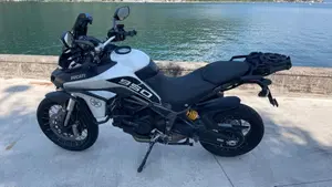 Ducati Multistrada 950 (2018)  (13)