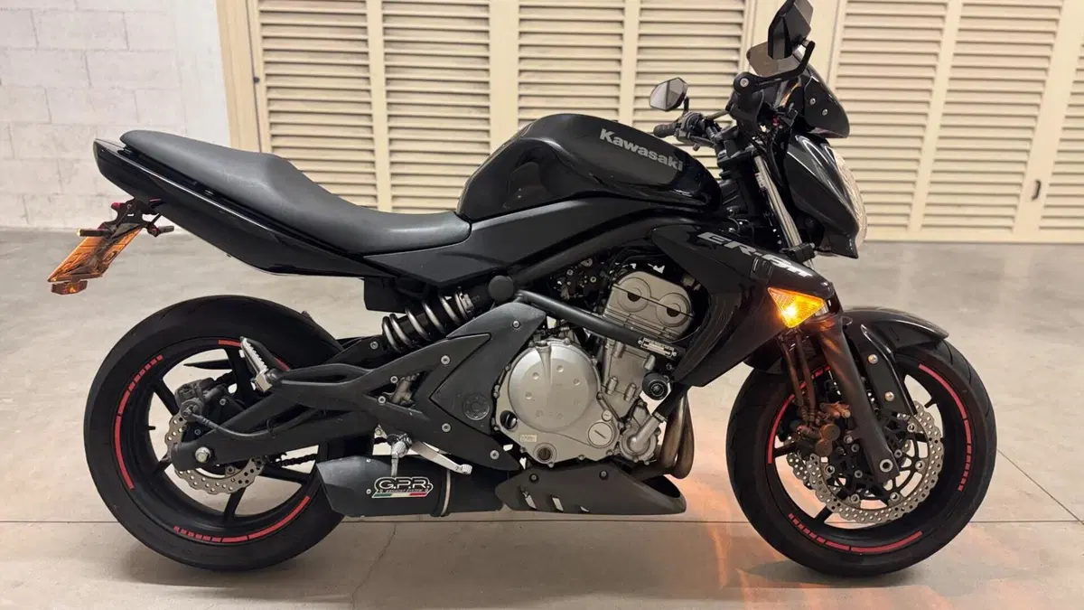 Kawasaki ER-6N (2005 - 08)  (2)