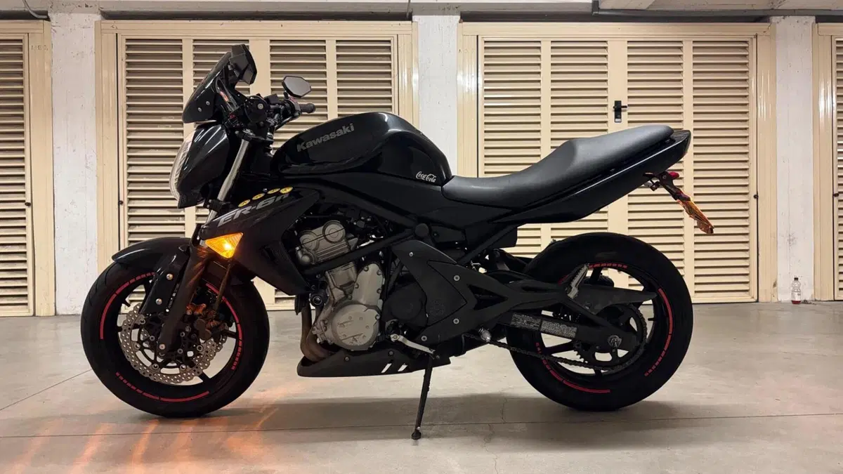 Kawasaki ER-6N (2005 - 08)  (4)