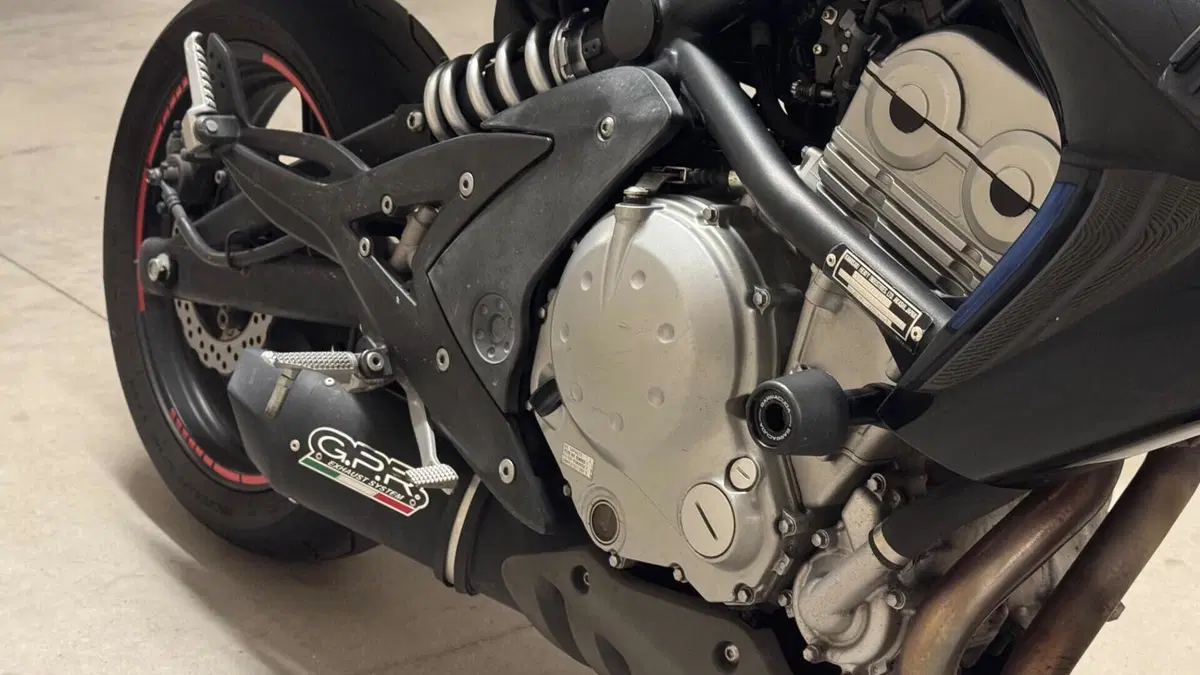 Kawasaki ER-6N (2005 - 08)  (5)