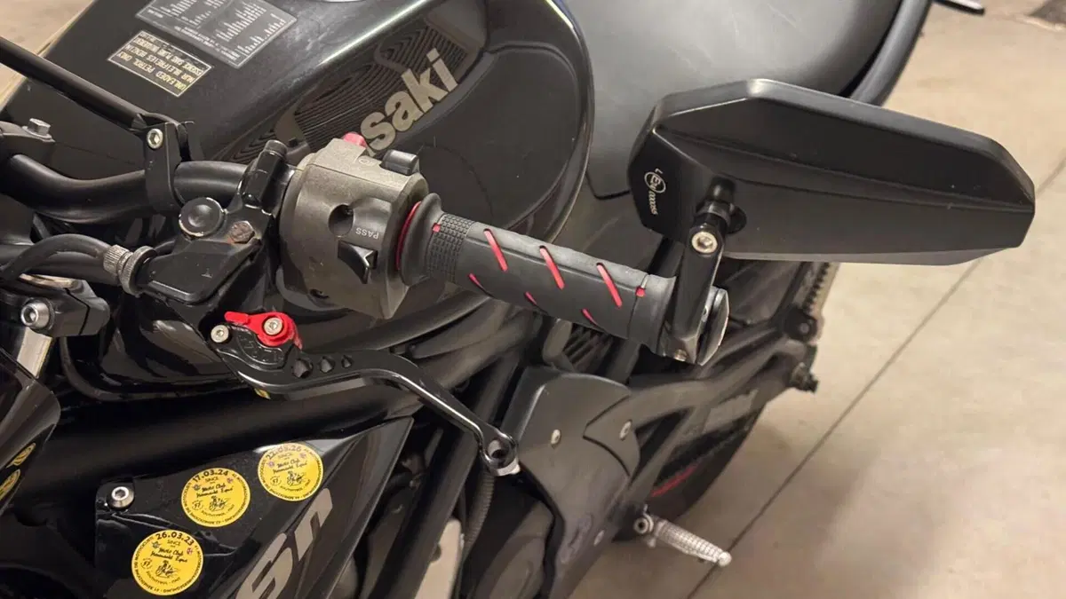 Kawasaki ER-6N (2005 - 08)  (6)