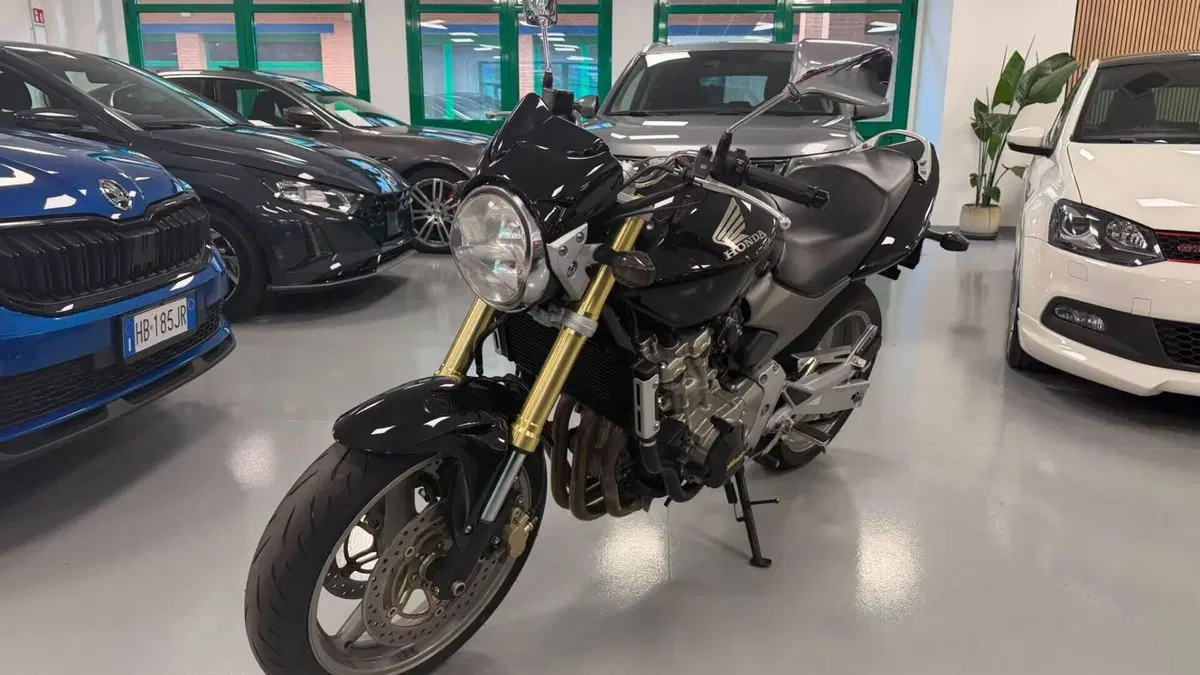 Honda Hornet 600 (2005 - 06)  (6)