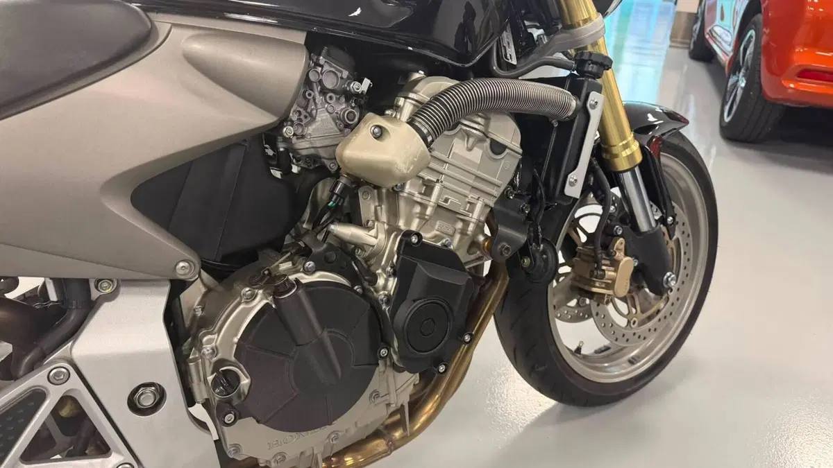 Honda Hornet 600 (2005 - 06)  (8)