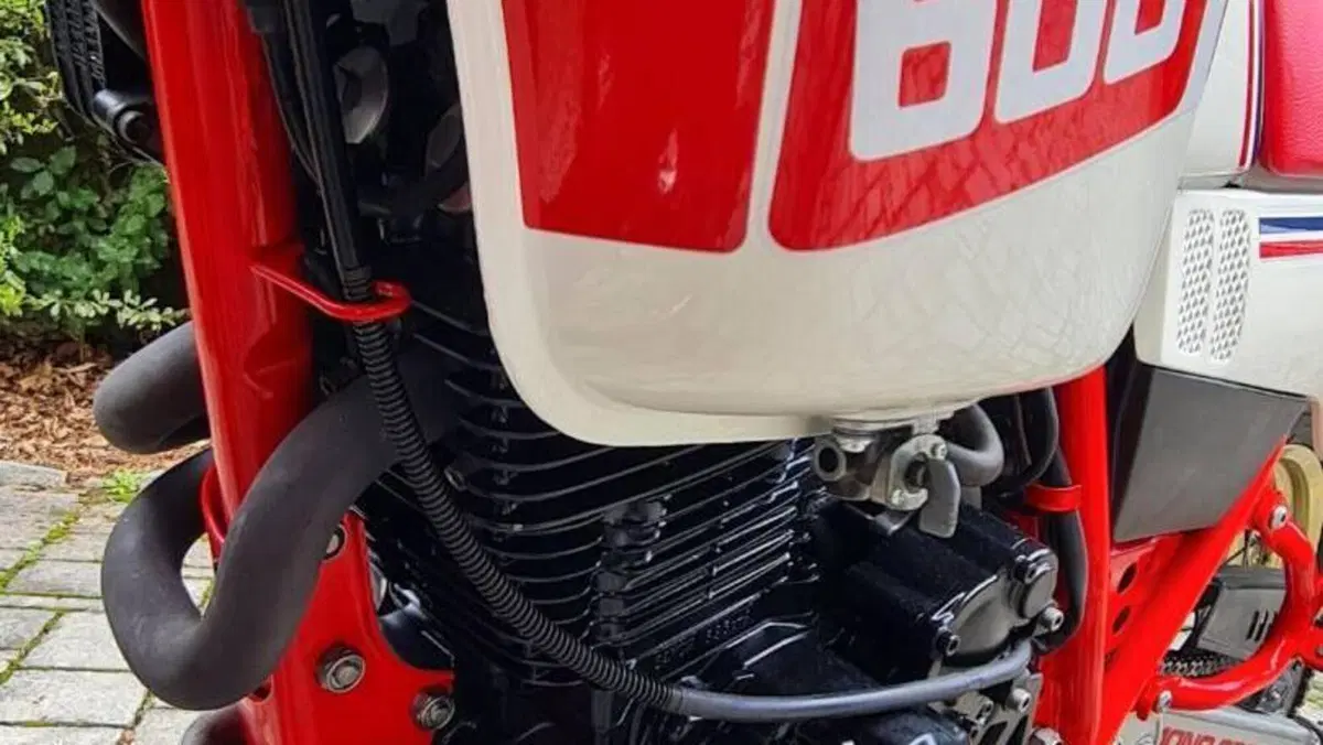 Yamaha   (8)