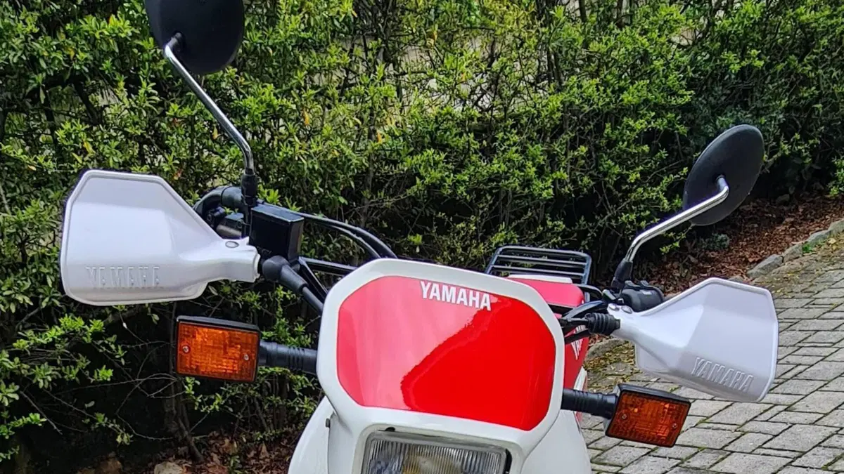 Yamaha   (14)
