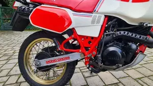Yamaha   (13)