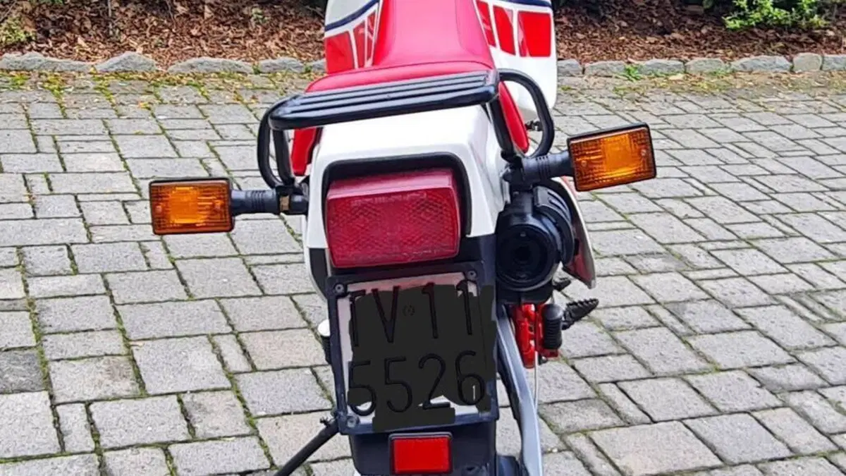 Yamaha   (17)