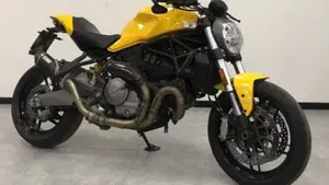 Ducati Monster 821 (2018 - 20)  (3)