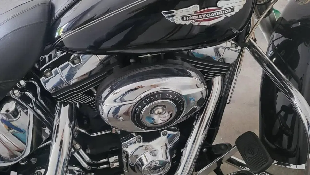 Harley-Davidson 1690 Deluxe ABS (2011 - 16) - FLSTN  (8)