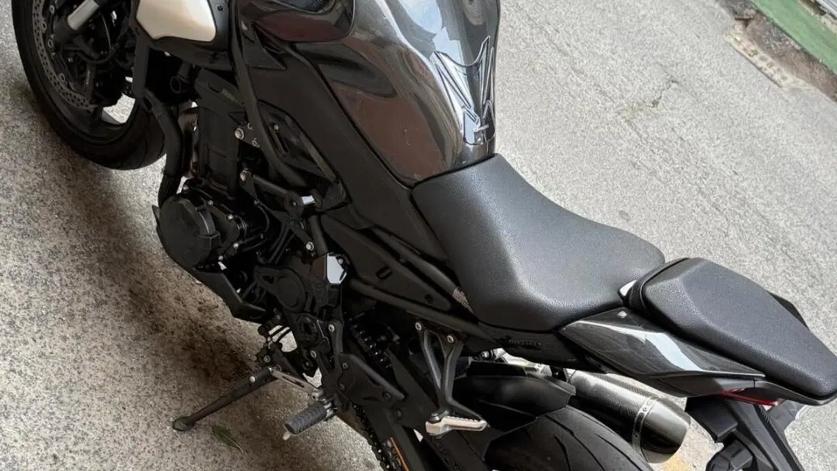Kawasaki Z 900 (2025 - 26) 